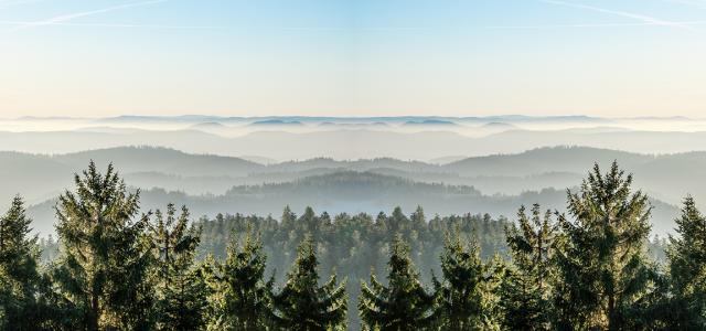 fog landscape in black forest panorama banner long