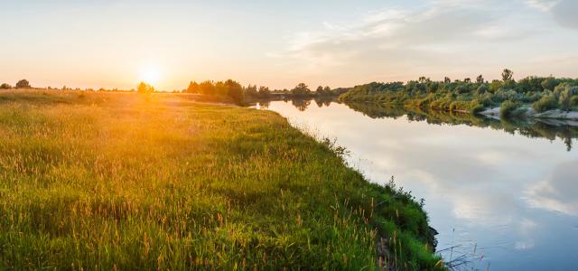 Beautiful evening natural landscape near the river during sunset